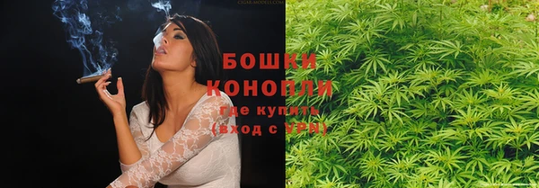 ГАЛЛЮЦИНОГЕННЫЕ ГРИБЫ Богородск