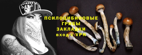 ALPHA PVP Бородино