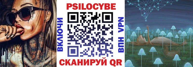 где продают   Горняк  Галлюциногенные грибы прущие грибы 